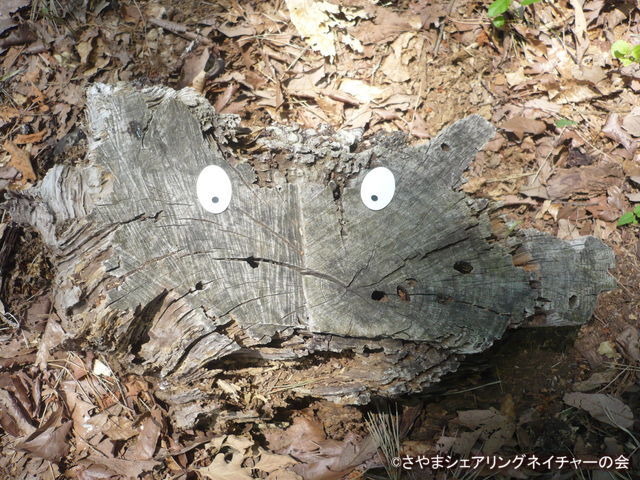 20190526_012