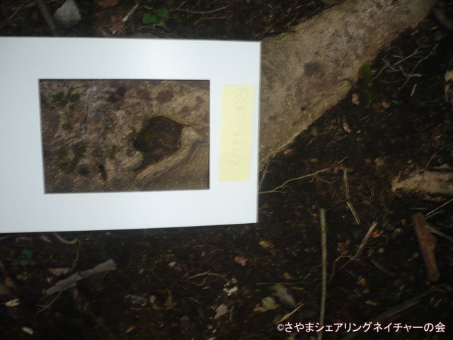 20190824_022